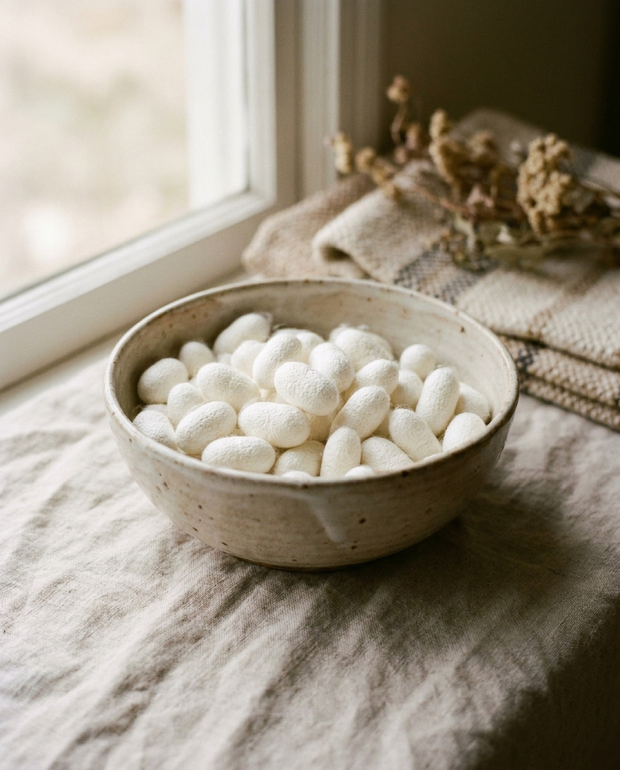Natuurlijke zijdecocons in een schaal